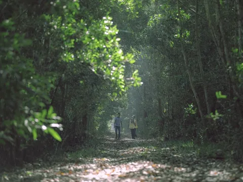 Trung tâm nghiên cứu bảo tồn và phát triển dược liệu Đồng Tháp Mười