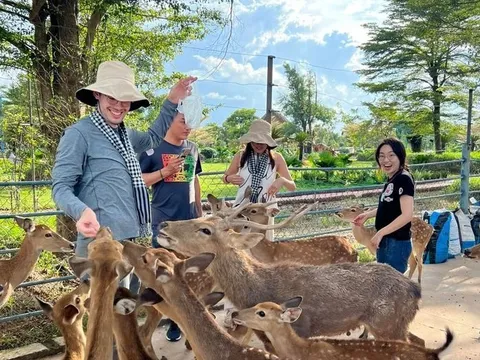 Cuối tuần đi đâu: Khám phá những điểm du lịch hấp dẫn tại Long An